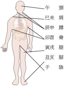 地支配人体